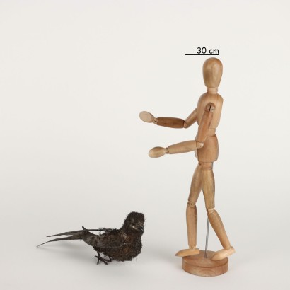 Vogel aus Nava und Nencini aus 925er Silber,Vogel aus Nava und Nencini aus 925er Silber,Vogel aus Nava und Nencini aus 925er Silber,Vogel aus Nava und Nencini aus 925er Silber,Vogel aus Nava und Nencini aus 925er Silber,Vogel aus Nava und Nencini aus 925er Silber und Nencini%,Vogel aus 925 Silber Nava und Nencini%,Vogel aus 925 Silber Nava und Nencini%,Vogel aus 925 Silber Nava und Nencini%,Vogel aus 925 Silber Nava und Nencini%,Vogel aus 925 Silber Nava und Nencini%,Vogel in 925 Silber Nava und Nencini%,Vogel in 925 Silber Nava und Nencini%,Vogel in 925 Silber Nava und Nencini%,Vogel in 925 Silber Nava und Nencini%