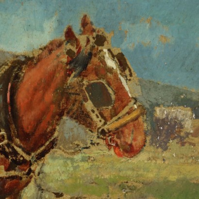 Piccolo dipinto di Tito Pellicciotti ,Cavallo e asinello,Tito Pellicciotti,Tito Pellicciotti,Tito Pellicciotti,Tito Pellicciotti,Tito Pellicciotti,Tito Pellicciotti,Tito Pellicciotti,Tito Pellicciotti,Tito Pellicciotti,Tito Pellicciotti,Tito Pellicciotti