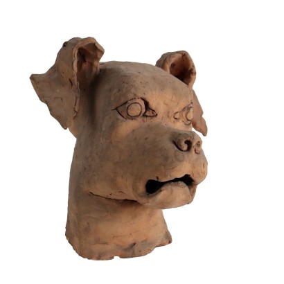 Cabeza de perro de terracota Tito Gasparini