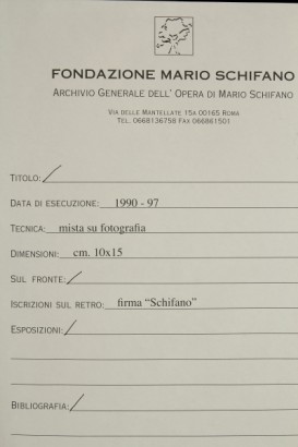 arte contemporanea, Mario Schifano (1934-1998), fotografia ritoccata, tecnica mista su foto, opere di mario schifano, fotografie di mario schifano, arte XXI secolo, 1990-97