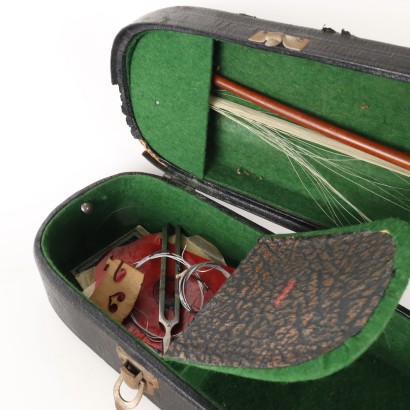 Violin with case