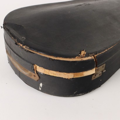 Violin with case