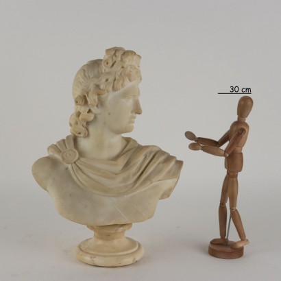 Apollo del Belvedere Busto in Marmo