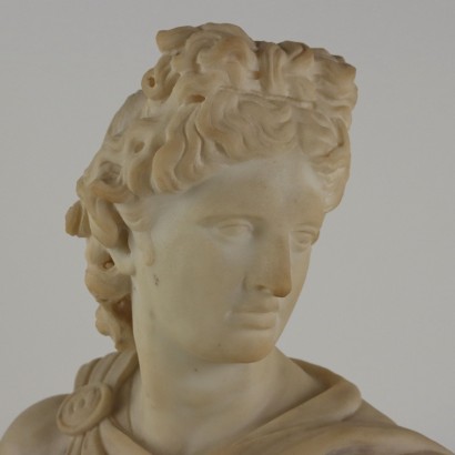 Apollo del Belvedere Busto in Marmo