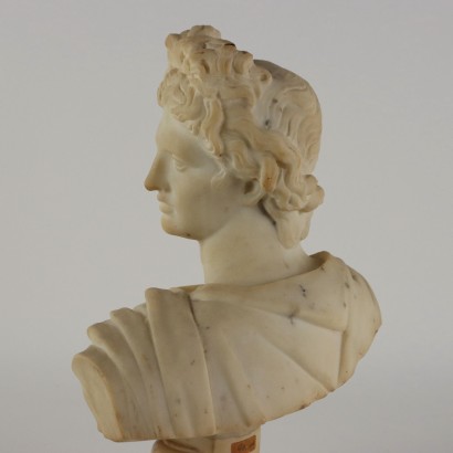 Apollo del Belvedere Busto in Marmo
