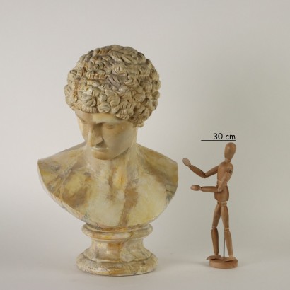 Busto di Antinoo in Gesso