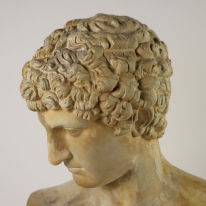 Busto di Antinoo in Gesso