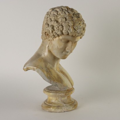 Busto di Antinoo in Gesso
