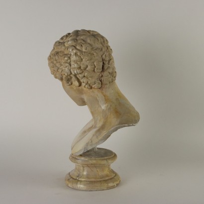 Busto di Antinoo in Gesso