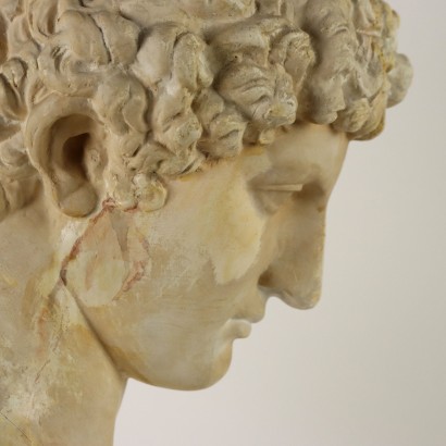 Busto di Antinoo in Gesso