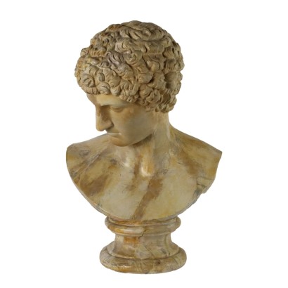 Busto di Antinoo in Gesso