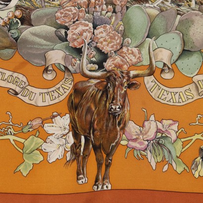 Hermes Foulard Faune et Flores du Texa