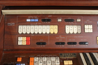 Organo a doppia tastiera, multifunzioni, rivestimento in legno impiallacciato, legno palissandro