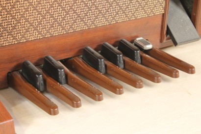 Organo a doppia tastiera, multifunzioni, rivestimento in legno impiallacciato, legno palissandro