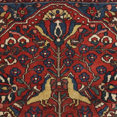 Tappeto Baktiari - Iran,Tappeto Bakhtiari - Iran