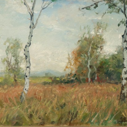 Dipinto di Luigi Comolli,Pian Rosa,Luigi Comolli,Luigi Comolli,Luigi Comolli,Luigi Comolli