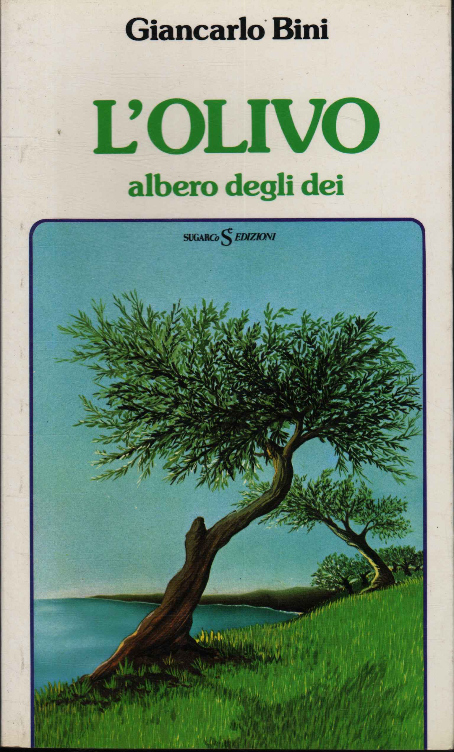 L'olivo albero degli dei