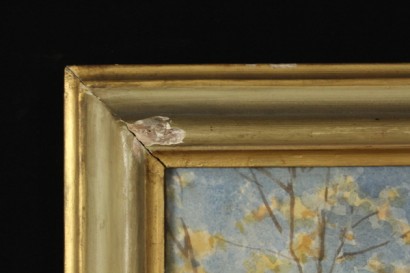 Paolo Sala (1859-1924)