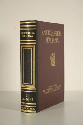 Enciclopedia Treccani con libreria
