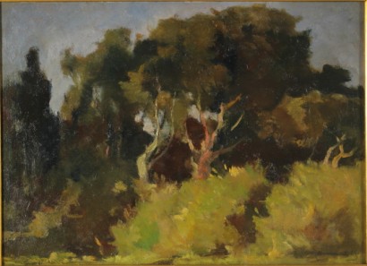 Paisaje boscoso 800