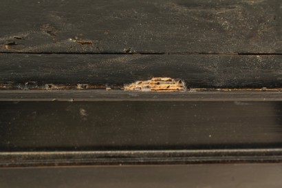 Particolare Stipo ebanizzato