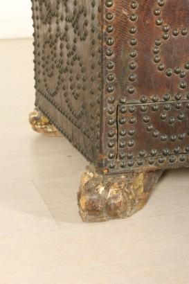 Particulier pied cuir couvert tronc