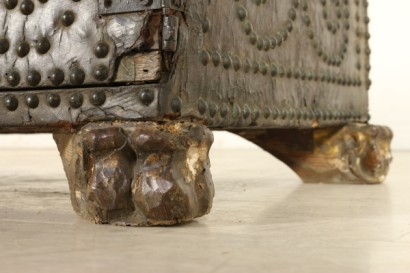 Particulier pied cuir couvert tronc