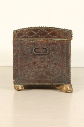 Cuir de tronc couché vue latérale