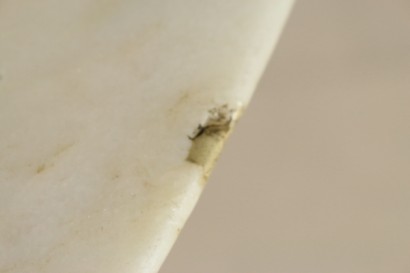 Table en particulier 50 ans