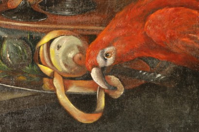 Particular Parrot picture