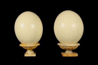 Paire d’autruche oeufs sur base marbre