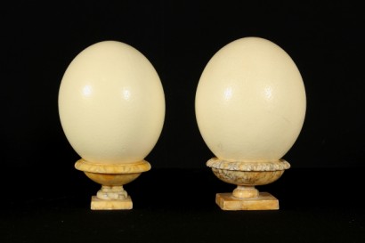 Paire d’autruche oeufs sur base marbre