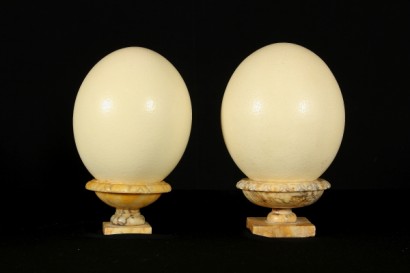 Paire d’autruche oeufs sur base marbre