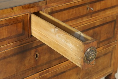 Cassettone Neoclassico toscano particolare