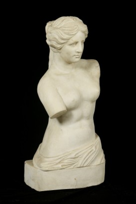 Busto di venere in marmo