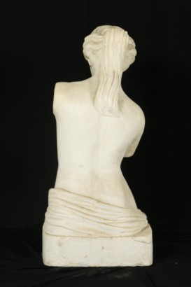 Particolare Busto di venere in marmo