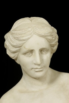 Particolare Busto di venere in marmo