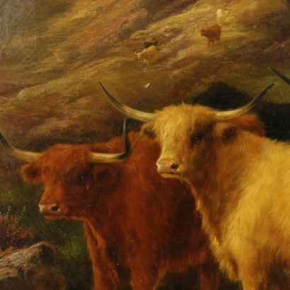 Grazing cows-detail