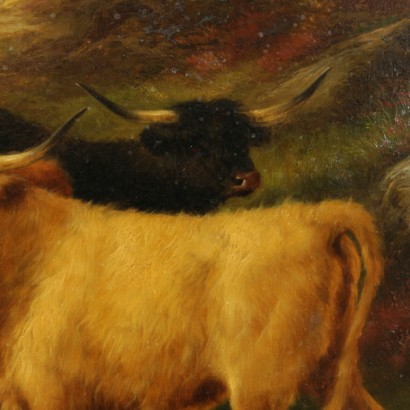 Grazing cows-detail