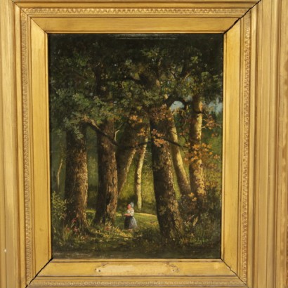 Waldlandschaft mit abbildung