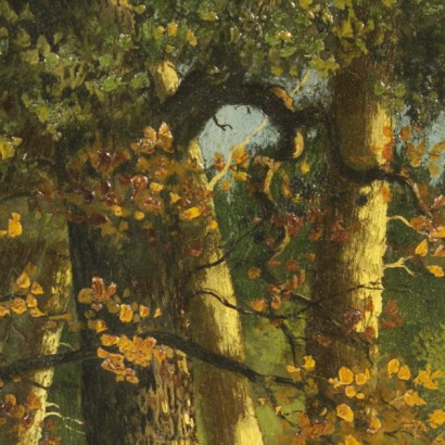 Waldlandschaft mit abbildung