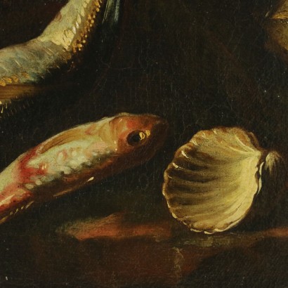 Natura morta con pesci e conchiglia