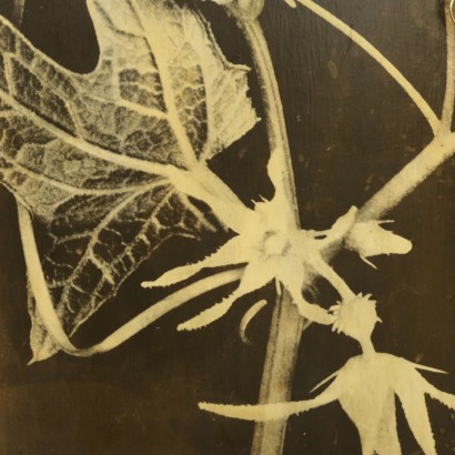 modernariato, modernariato di design, credenza, credenza modernariato, credenza di modernariato, credenza italiana, credenza vintage, credenza anni '60, credenza design anni 60