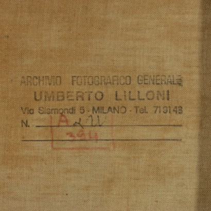 Fiori di Umberto Lilloni-particolare