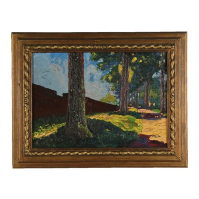 The landscape of Giorgio De Vincenzi