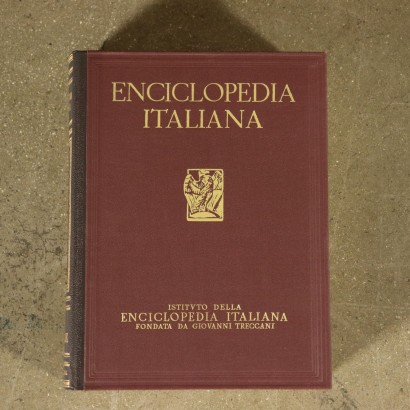 Enciclopedia Treccani con libreria-particolare
