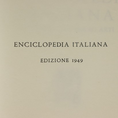 Enciclopedia Treccani con libreria-particolare