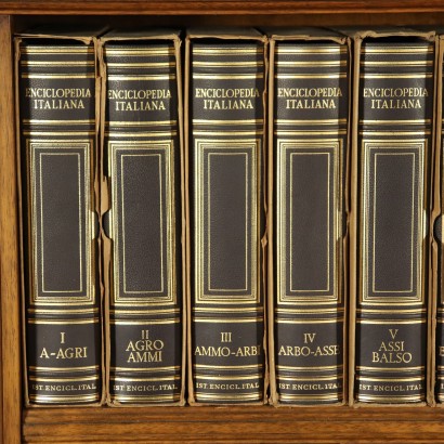 Enciclopedia Treccani con libreria-particolare