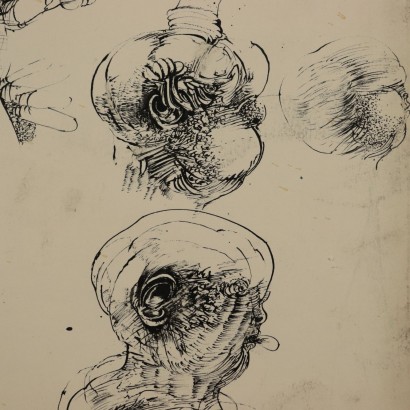 Dibujo de Vladimir Velickovic