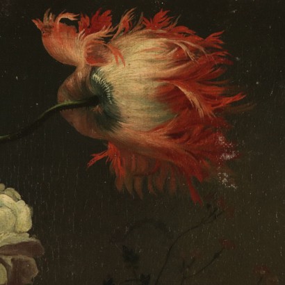 Still Life with Flowers, Oil on Canvas, Flemish School 18th Century